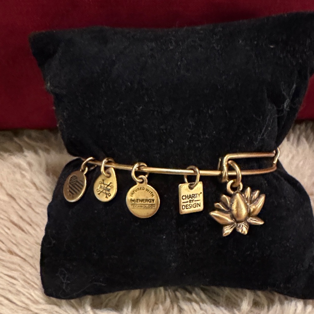 Alex and Ani Gold Women and Infant Lotus Charm Bracelet